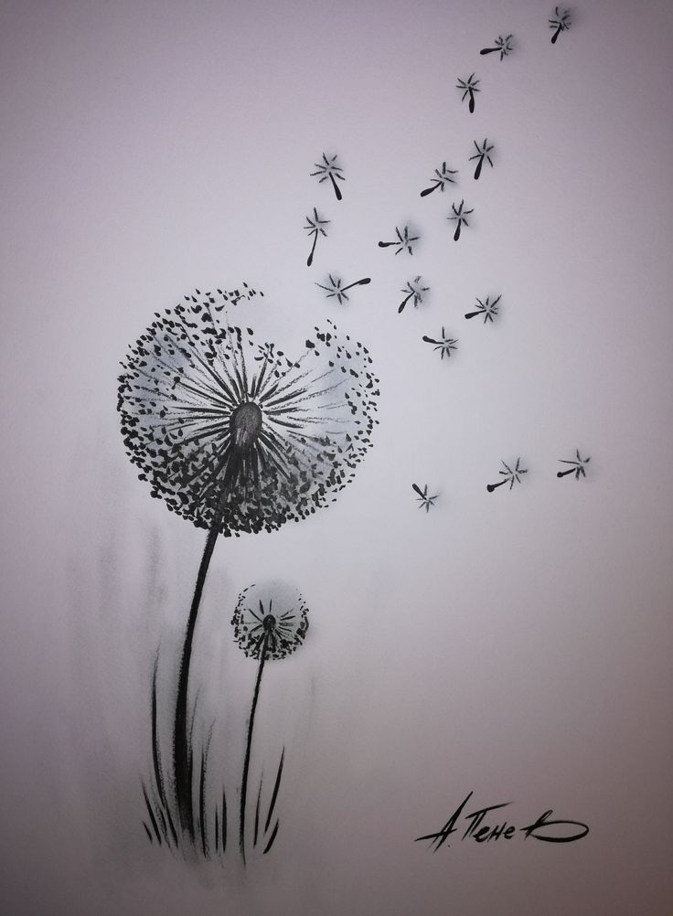 "Dandelion drawing" by A.Penev Dandelion drawing, Flower drawing