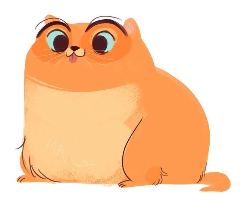 Cute Fat Cat Drawing at GetDrawings Free download