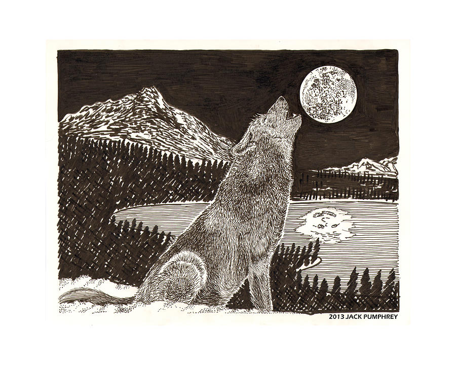 Coyote Full Moon Howling Drawing by Jack Pumphrey Pixels