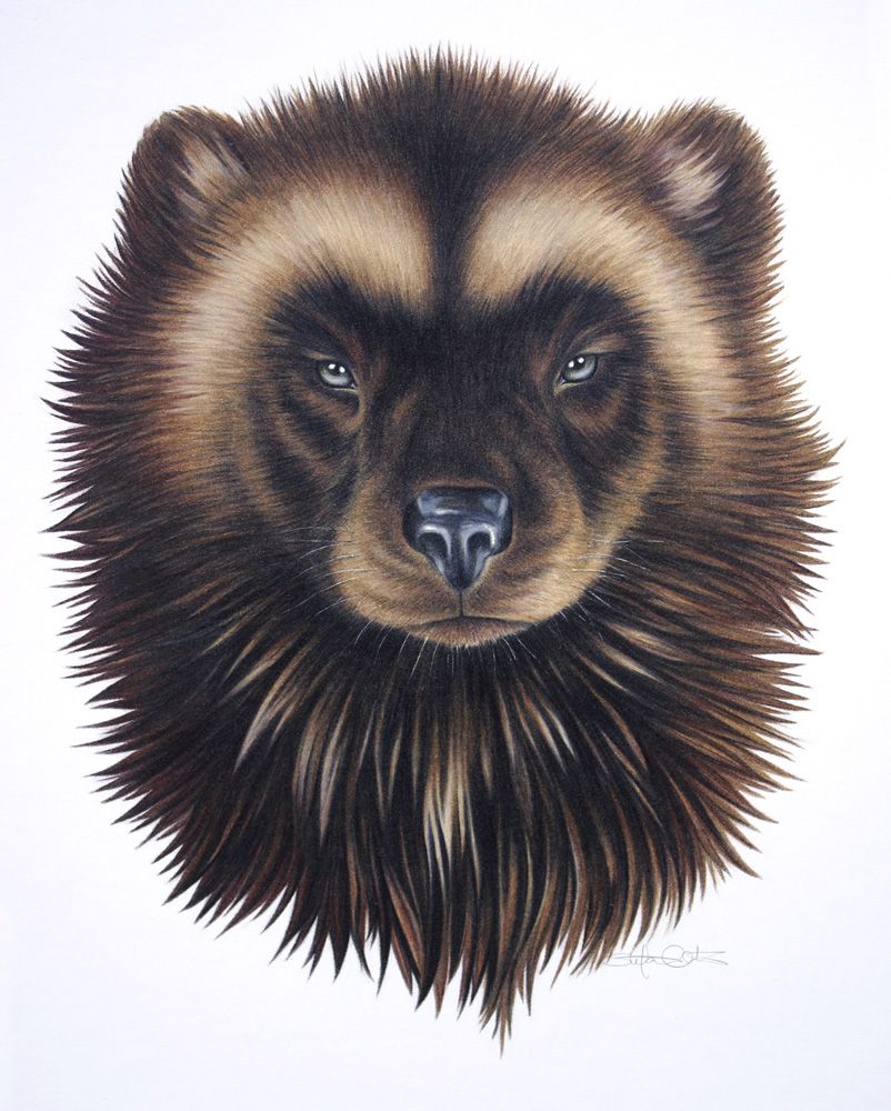 wolverine 絵画, うい