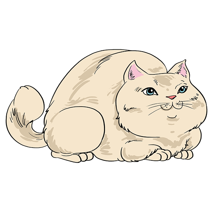 Fat Cat Drawing Realistic free for commercial use high quality images