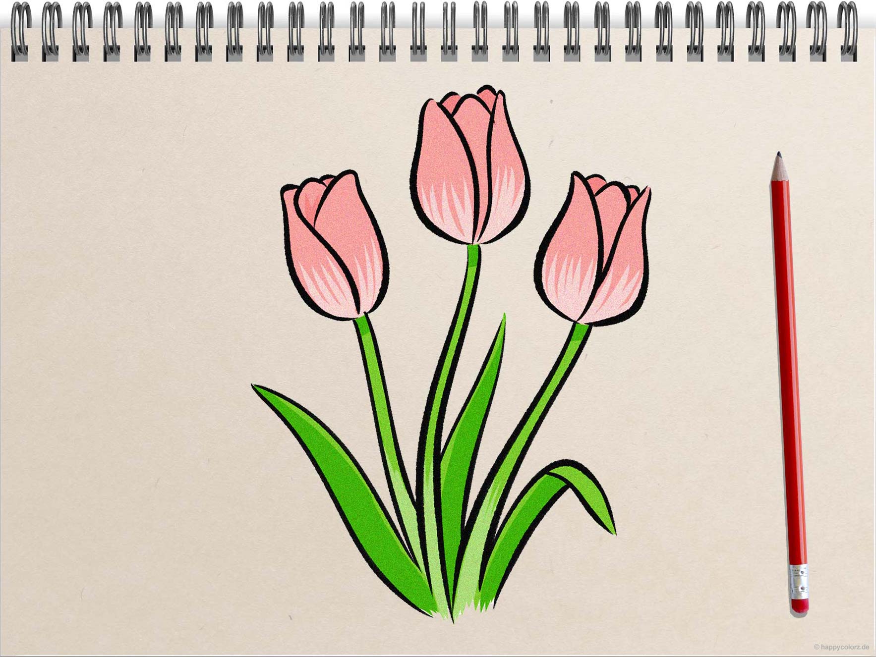 Tulpe zeichnen SchrittfürSchritt Anleitung mit Bildern » Tulpe malen